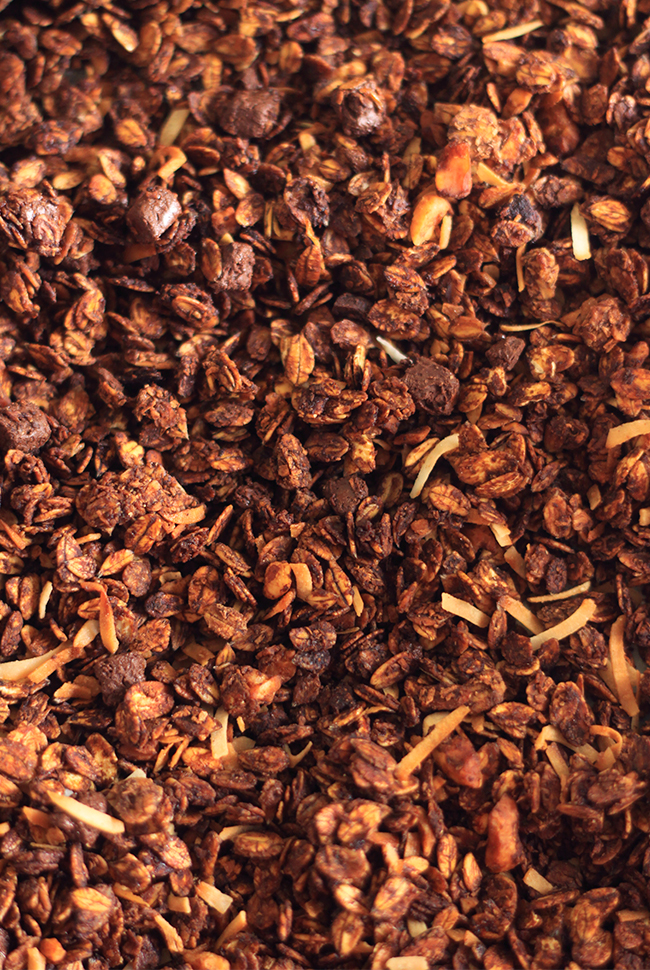 Granolat-chocolat-noix-de-coco5